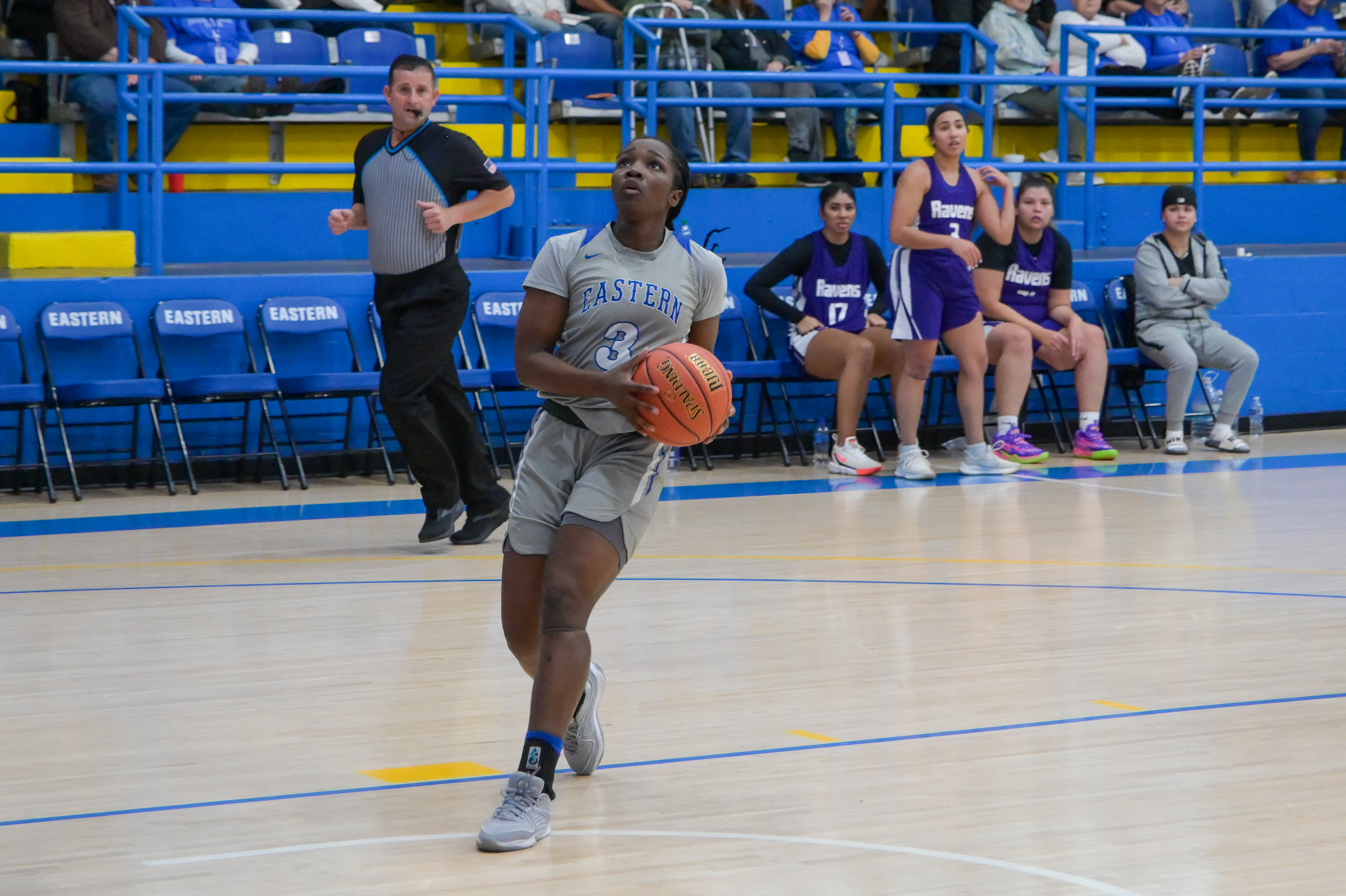 MOUNTAINEER ROUNDUP: Basketball, softball, and baseball all earn late-winter wins